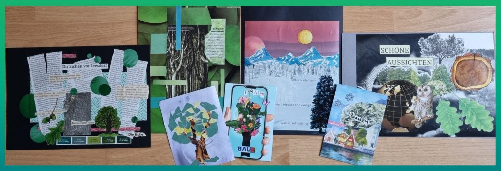 Das Bild zeigt 4 große und 3 kleine Collagen zum Thema Baum. Sie unterscheiden sich stark in ihrer Art der Gestaltung. Eine Collage zeigt Buchen des Gespensterwaldes Nienhagen an der Ostsee in einer Umgebung aus grünen Flächen. Eine weitere besteht zum größten Teil aus einer verschneiten Fläche mit Nadelbäumen und Bergen im Hintergrund vor einem Sonnenuntergang. Vorn rechts ist eine Fichte zu sehen und der Text: Stiller Nadelbaum / Schnee bedeckt seine Zweige / Wartet auf Frühling